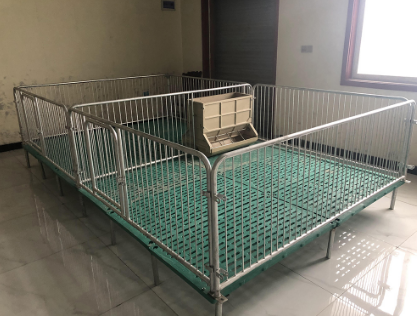 母豬定位欄的隔板和后門(mén)有什么作用？